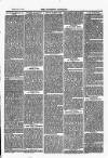 Southend Standard and Essex Weekly Advertiser Friday 12 March 1875 Page 3