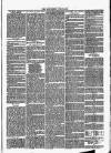 Southend Standard and Essex Weekly Advertiser Friday 26 March 1875 Page 7