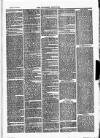 Southend Standard and Essex Weekly Advertiser Friday 15 October 1875 Page 3