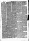 Southend Standard and Essex Weekly Advertiser Friday 12 November 1875 Page 3