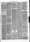 Southend Standard and Essex Weekly Advertiser Friday 12 November 1875 Page 7