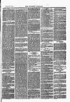 Southend Standard and Essex Weekly Advertiser Friday 17 December 1875 Page 7