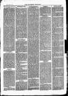 Southend Standard and Essex Weekly Advertiser Friday 31 December 1875 Page 3