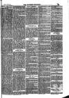 Southend Standard and Essex Weekly Advertiser Friday 04 February 1876 Page 7