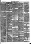 Southend Standard and Essex Weekly Advertiser Friday 03 March 1876 Page 7