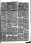 Southend Standard and Essex Weekly Advertiser Friday 14 April 1876 Page 5