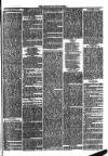 Southend Standard and Essex Weekly Advertiser Friday 21 April 1876 Page 5