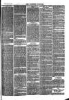 Southend Standard and Essex Weekly Advertiser Friday 21 April 1876 Page 7