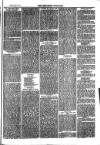 Southend Standard and Essex Weekly Advertiser Friday 05 May 1876 Page 5