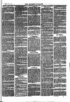 Southend Standard and Essex Weekly Advertiser Friday 05 May 1876 Page 7