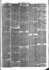 Southend Standard and Essex Weekly Advertiser Friday 09 June 1876 Page 3