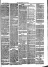 Southend Standard and Essex Weekly Advertiser Friday 16 June 1876 Page 7