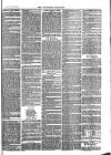 Southend Standard and Essex Weekly Advertiser Friday 23 June 1876 Page 7