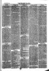 Southend Standard and Essex Weekly Advertiser Friday 14 July 1876 Page 3