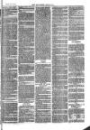 Southend Standard and Essex Weekly Advertiser Friday 14 July 1876 Page 7