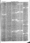 Southend Standard and Essex Weekly Advertiser Friday 21 July 1876 Page 5