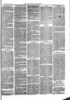 Southend Standard and Essex Weekly Advertiser Friday 21 July 1876 Page 7