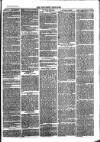 Southend Standard and Essex Weekly Advertiser Friday 28 July 1876 Page 3