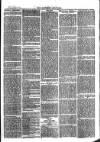 Southend Standard and Essex Weekly Advertiser Friday 04 August 1876 Page 3