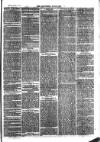 Southend Standard and Essex Weekly Advertiser Friday 11 August 1876 Page 7