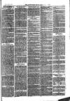 Southend Standard and Essex Weekly Advertiser Friday 01 September 1876 Page 7