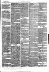 Southend Standard and Essex Weekly Advertiser Friday 27 October 1876 Page 7