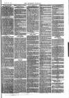 Southend Standard and Essex Weekly Advertiser Friday 03 November 1876 Page 7