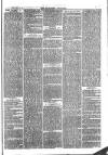 Southend Standard and Essex Weekly Advertiser Friday 10 November 1876 Page 3