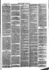 Southend Standard and Essex Weekly Advertiser Friday 17 November 1876 Page 7