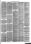 Southend Standard and Essex Weekly Advertiser Friday 15 December 1876 Page 7