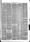 Southend Standard and Essex Weekly Advertiser Friday 19 January 1877 Page 3