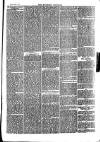 Southend Standard and Essex Weekly Advertiser Friday 02 February 1877 Page 7
