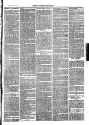 Southend Standard and Essex Weekly Advertiser Friday 16 March 1877 Page 7