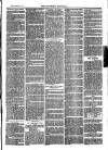 Southend Standard and Essex Weekly Advertiser Friday 23 March 1877 Page 7