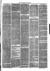 Southend Standard and Essex Weekly Advertiser Friday 30 March 1877 Page 3