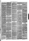 Southend Standard and Essex Weekly Advertiser Friday 30 March 1877 Page 7