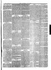 Southend Standard and Essex Weekly Advertiser Friday 20 April 1877 Page 3