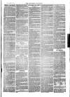 Southend Standard and Essex Weekly Advertiser Friday 20 April 1877 Page 7
