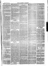 Southend Standard and Essex Weekly Advertiser Friday 27 April 1877 Page 7