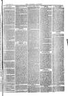 Southend Standard and Essex Weekly Advertiser Friday 01 June 1877 Page 3