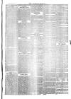 Southend Standard and Essex Weekly Advertiser Friday 01 June 1877 Page 7