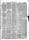 Southend Standard and Essex Weekly Advertiser Friday 08 June 1877 Page 3