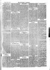 Southend Standard and Essex Weekly Advertiser Friday 17 August 1877 Page 5