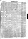 Southend Standard and Essex Weekly Advertiser Friday 24 August 1877 Page 7