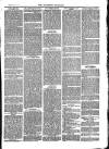 Southend Standard and Essex Weekly Advertiser Friday 11 January 1878 Page 7