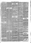 Southend Standard and Essex Weekly Advertiser Friday 01 February 1878 Page 7