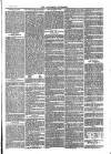 Southend Standard and Essex Weekly Advertiser Friday 08 February 1878 Page 7