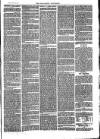 Southend Standard and Essex Weekly Advertiser Friday 07 June 1878 Page 7