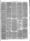 Southend Standard and Essex Weekly Advertiser Friday 14 June 1878 Page 7