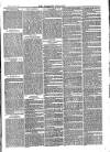 Southend Standard and Essex Weekly Advertiser Friday 21 June 1878 Page 3